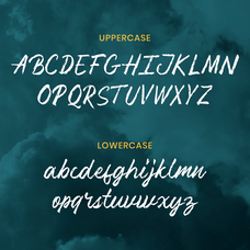 nirwana-brush-script-font-catalystco-studio-2.png