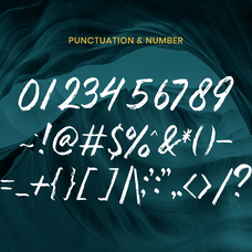 nirwana-brush-script-font-catalystco-studio-3.png