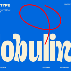 nobulina-font-zarma-type-2.png