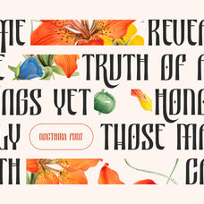 nocthira-blackletter-typeface-font-unknown-creator-3.jpg