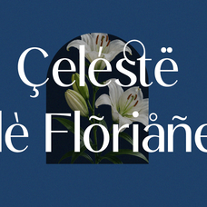 Noctifa – Modern Luxury Sans Font by Ragamkata Studio, preview 7