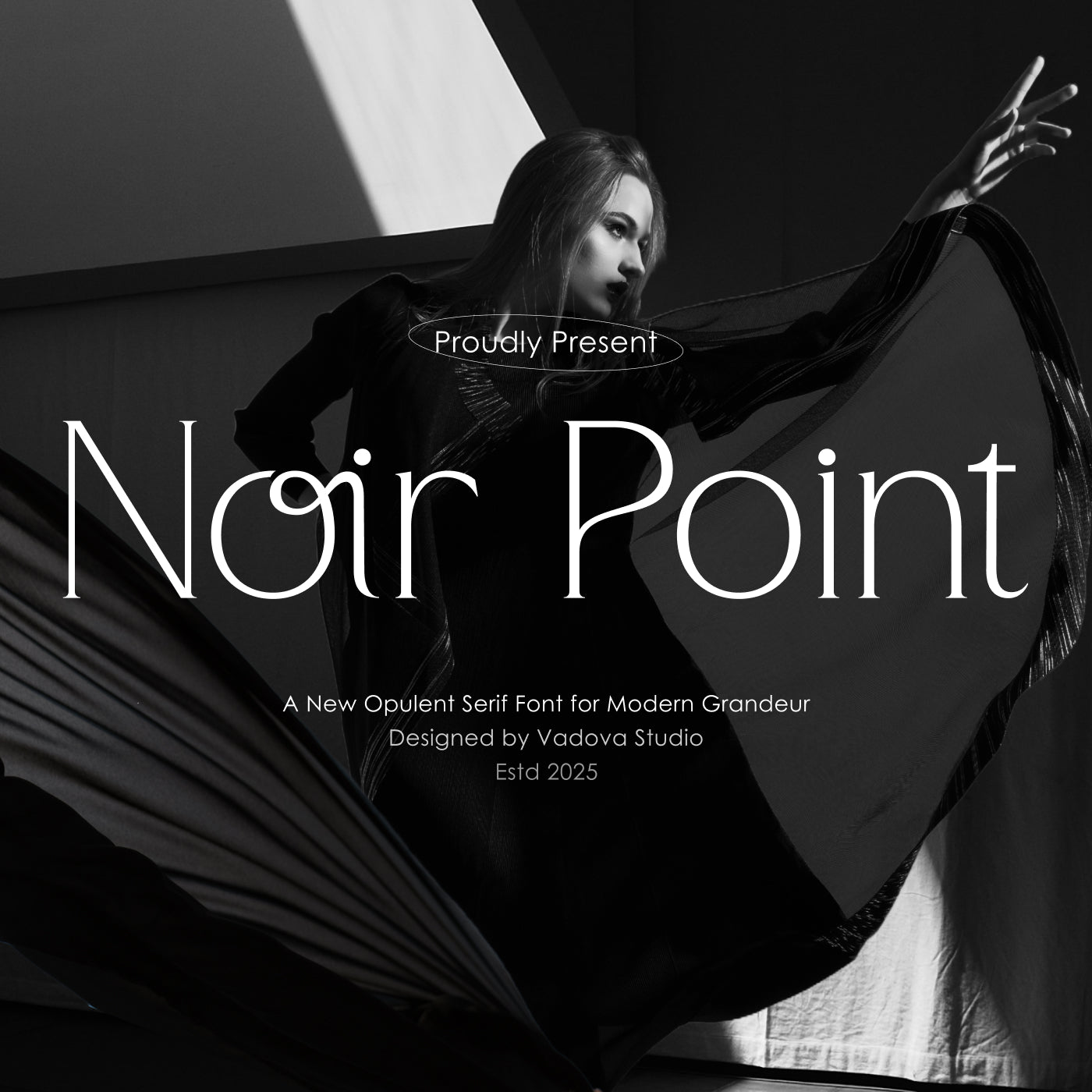 noir-point-serif-font-vadova-studio-1.jpg