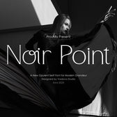 Noir Point Serif Font