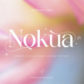 Nokua Modern Elegant Script Font