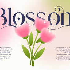 nokua-modern-elegant-script-font-brandearth-studio-3.png
