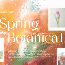 nokua-modern-elegant-script-font-brandearth-studio-4.png