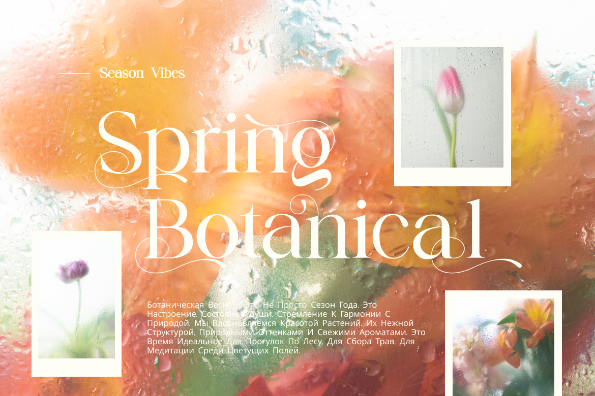 nokua-modern-elegant-script-font-brandearth-studio-4.png