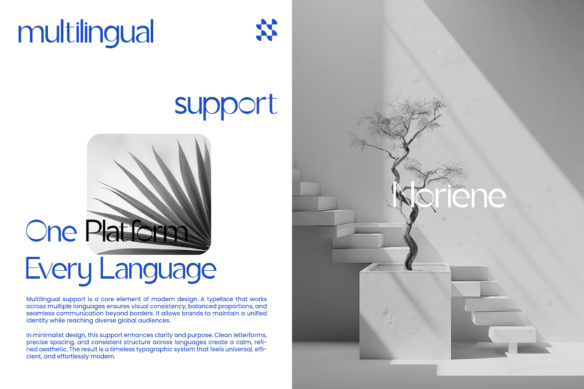 noriene-editorial-elegant-sans-serif-font-unknown-creator-6.png