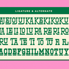 north-railway-western-slab-serif-font-say-studio-11.png