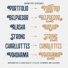 northern-vintage-display-font-angin-studio-4.png