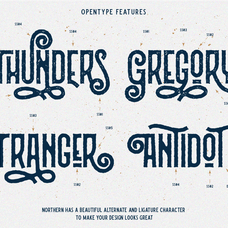 northern-vintage-display-font-angin-studio-5.png