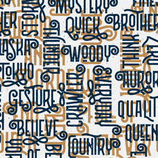 northern-vintage-display-font-angin-studio-7.png