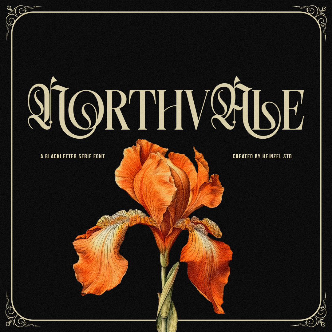 northvale-blackletter-serif-font-unknown-creator-1.jpg
