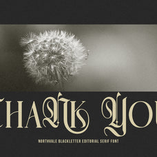 northvale-blackletter-serif-font-unknown-creator-10.jpg