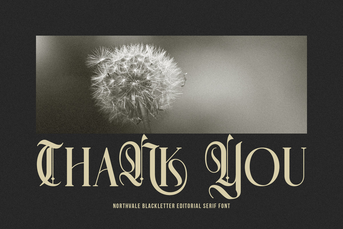 northvale-blackletter-serif-font-unknown-creator-10.jpg