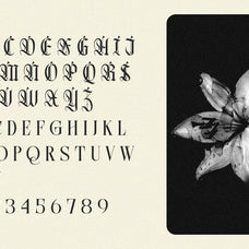 northvale-blackletter-serif-font-unknown-creator-7.jpg