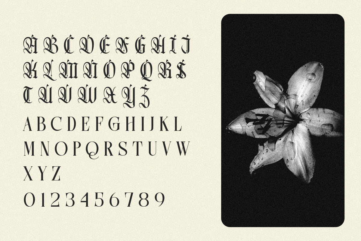 northvale-blackletter-serif-font-unknown-creator-7.jpg