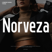Norveza - Family Condensed Sans Serif Font