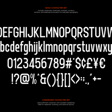 norveza-family-condensed-sans-serif-font-say-studio-10.png