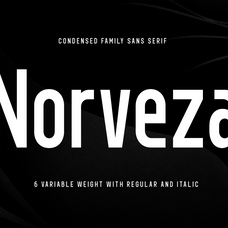 norveza-family-condensed-sans-serif-font-say-studio-2.png
