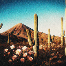 nostalgic-grain-card-effect-unknown-creator-5.jpg