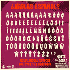 notte-del-cobra-remedy667-8.jpg