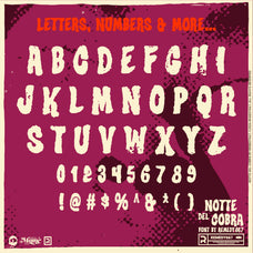 notte-del-cobra-remedy667-9.jpg