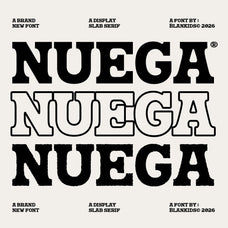 nuega-bold-slab-serif-font-blankids-1.jpg