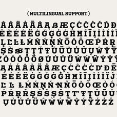 nuega-bold-slab-serif-font-blankids-13.jpg