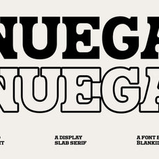 nuega-bold-slab-serif-font-blankids-2.jpg