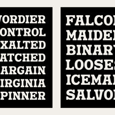 nuega-bold-slab-serif-font-blankids-3.jpg