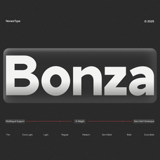 nv-bonza-modern-sans-serif-family-novaratype-1.png