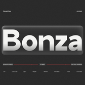 NV Bonza – Modern Sans Serif Family