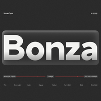 NV Bonza – Modern Sans Serif Family