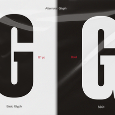 nv-dunk-condensed-sans-serif-family-novaratype-11.png