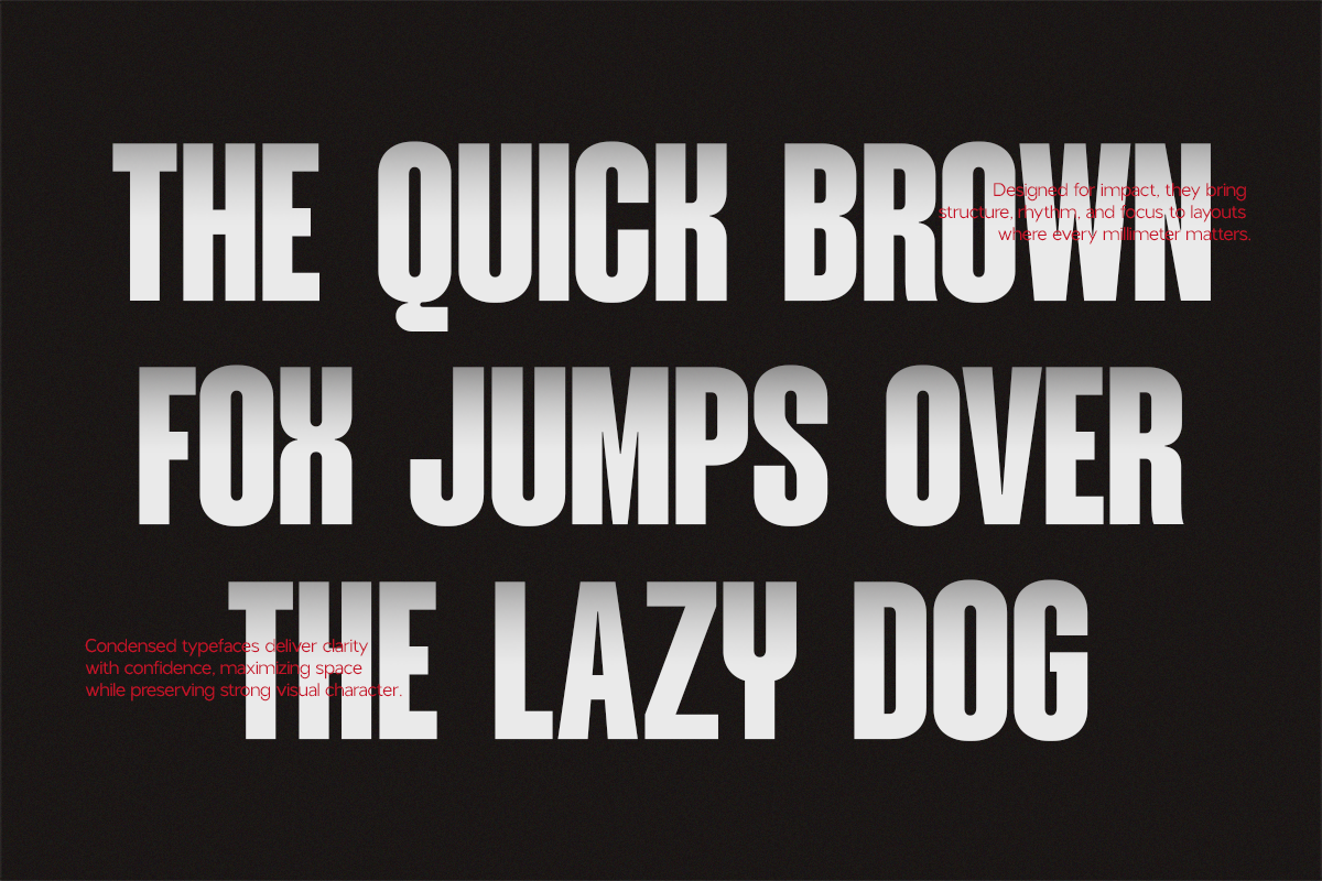 nv-dunk-condensed-sans-serif-family-novaratype-2.png