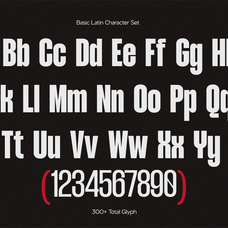 nv-dunk-condensed-sans-serif-family-novaratype-7.png