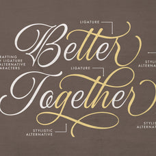 ocean-delight-a-stylish-script-font-blankids-10.jpg