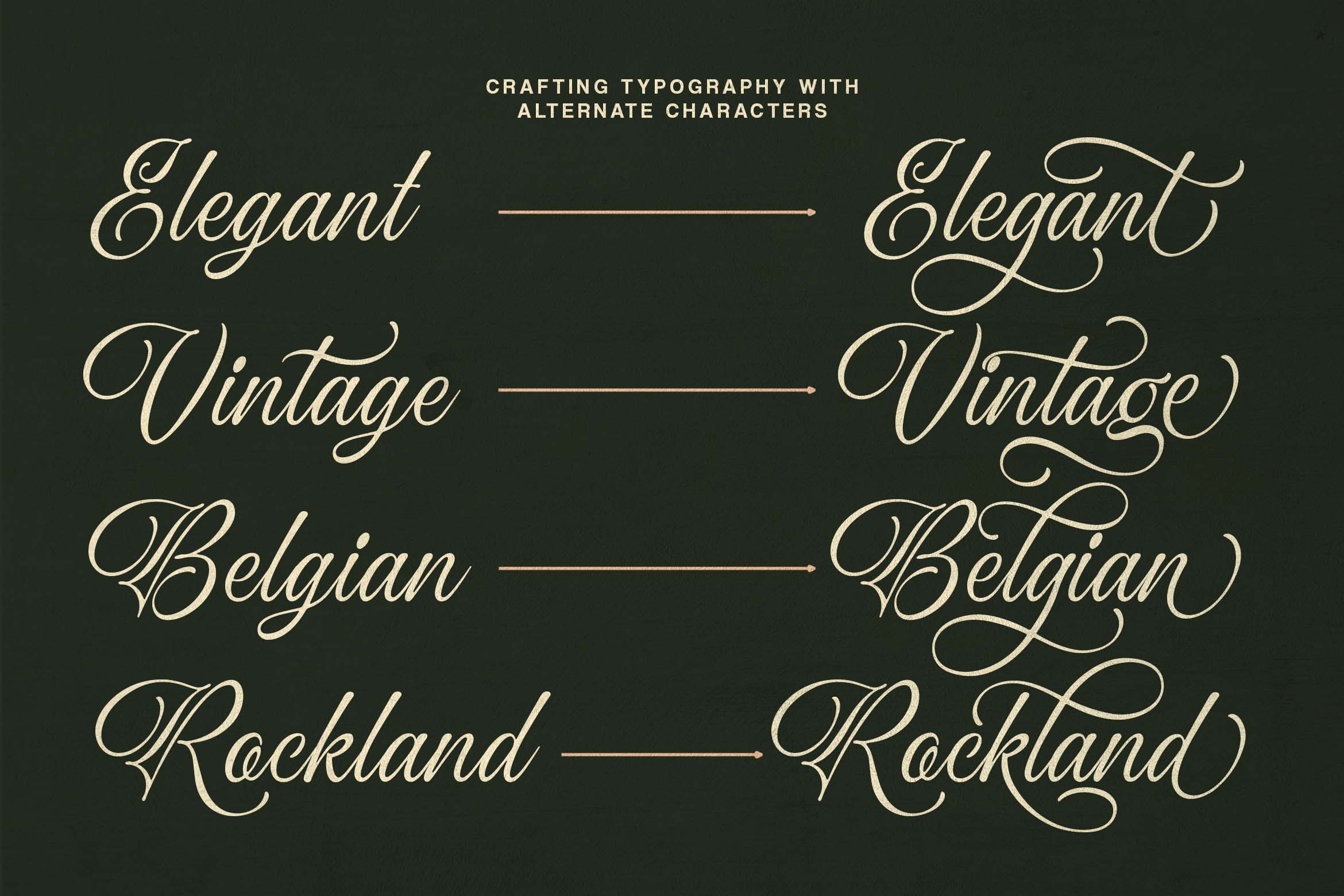 ocean-delight-a-stylish-script-font-blankids-11.jpg
