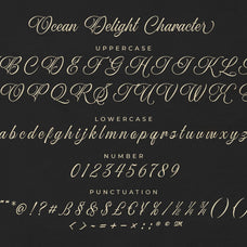 ocean-delight-a-stylish-script-font-blankids-12.jpg