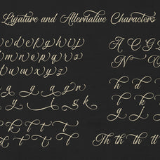 ocean-delight-a-stylish-script-font-blankids-13.jpg