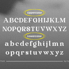 ohiyo-modern-serif-font-catalystco-studio-2.jpg