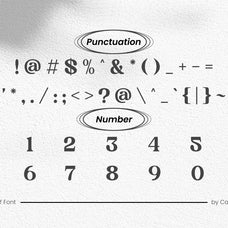 ohiyo-modern-serif-font-catalystco-studio-3.jpg