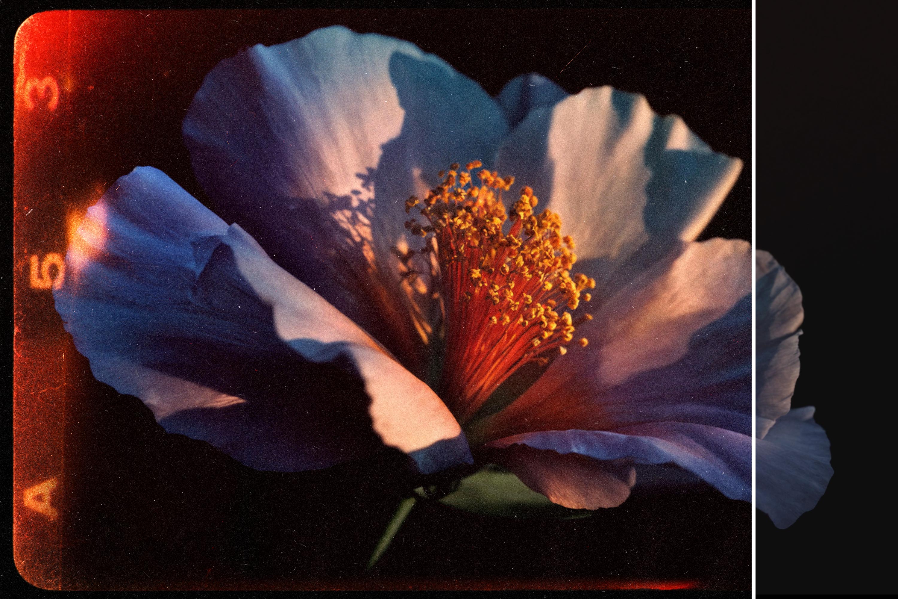 old-film-burn-overlay-bundle-pixelbuddha-6.jpg