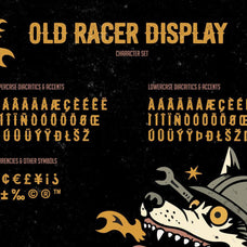 Old Racer Display