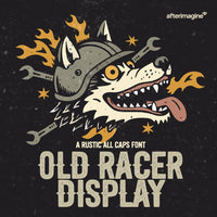 Old Racer Display