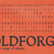 Oldforge Medieval Distressed Font