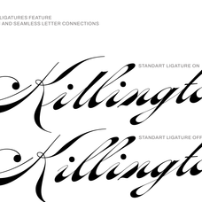 oldisire-script-jolicia-type-3.png