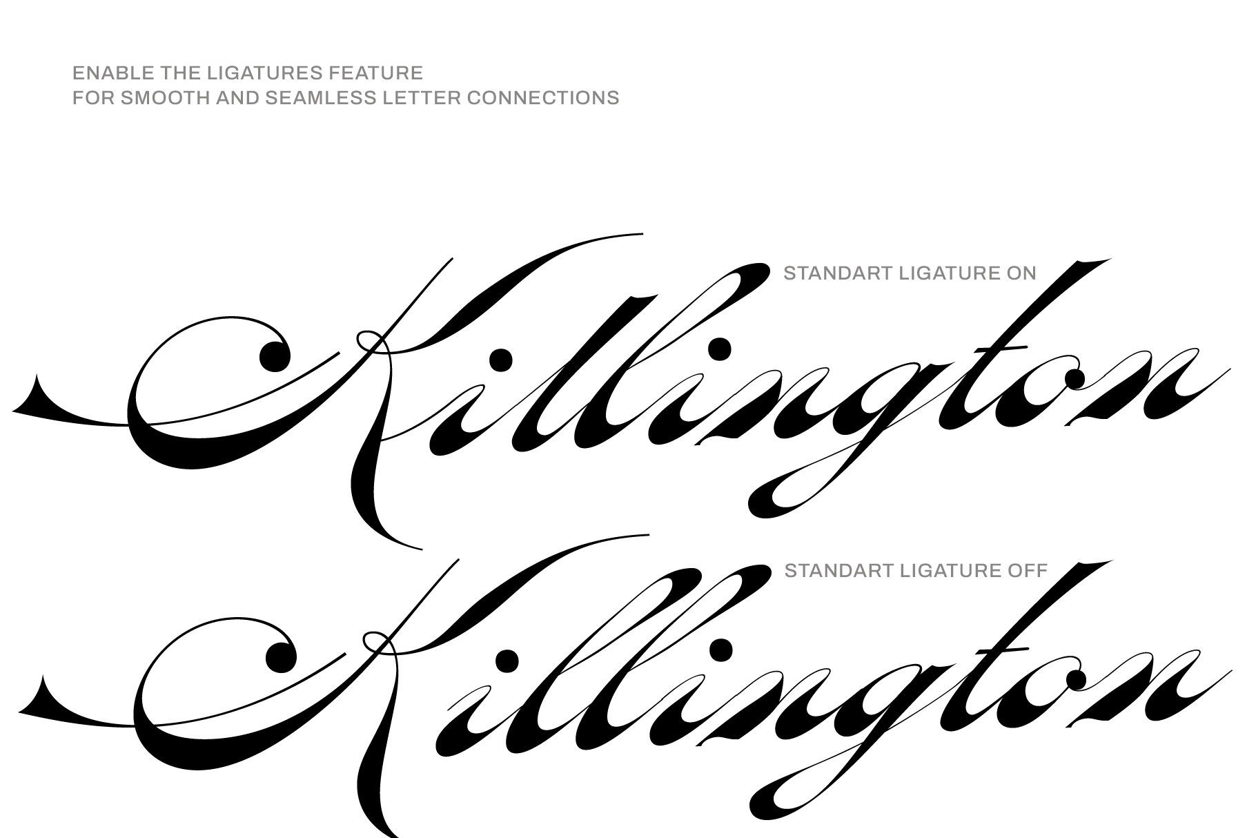 oldisire-script-jolicia-type-3.png