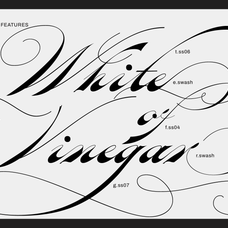 oldisire-script-jolicia-type-8.png
